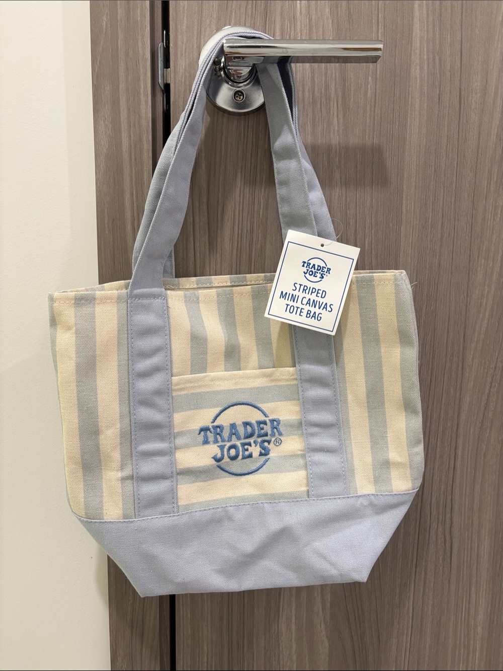 Trader Joe’s Striped Mini Canvas Tote Bag (Blue)